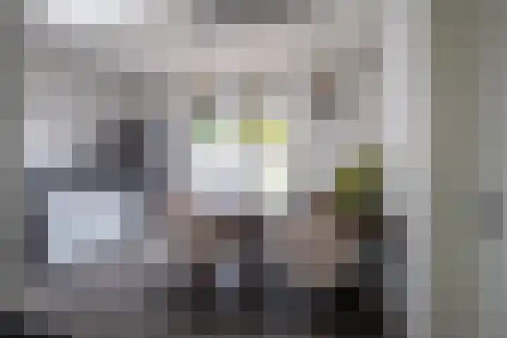 van Deventerweg 21 Oosterbeek thumbnail 14