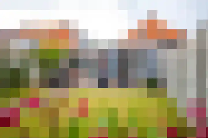 van Deventerweg 21 Oosterbeek thumbnail 23