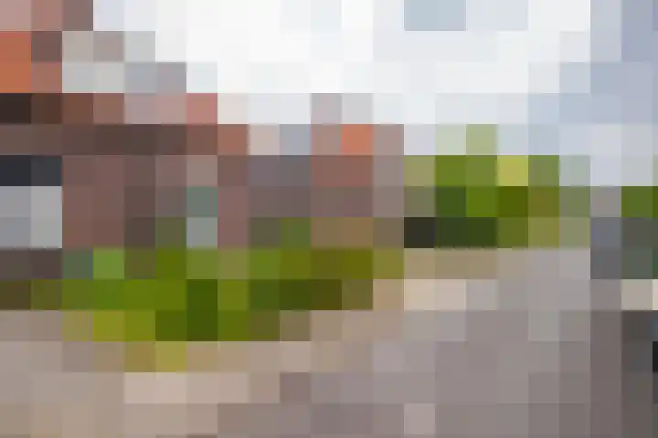van Deventerweg 21 Oosterbeek thumbnail 34