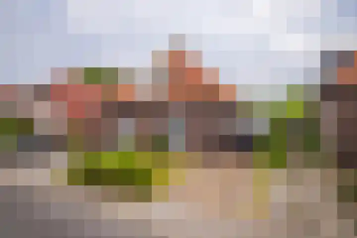 van Deventerweg 21 Oosterbeek thumbnail 35