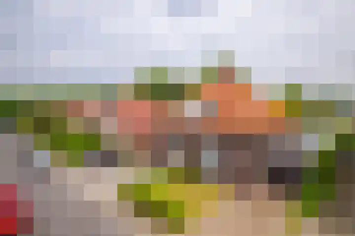 van Deventerweg 21 Oosterbeek thumbnail 36