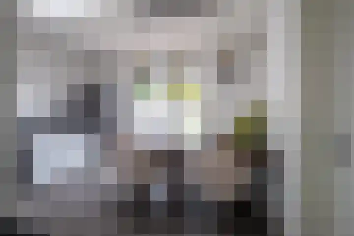 van Deventerweg 21 Oosterbeek thumbnail 4