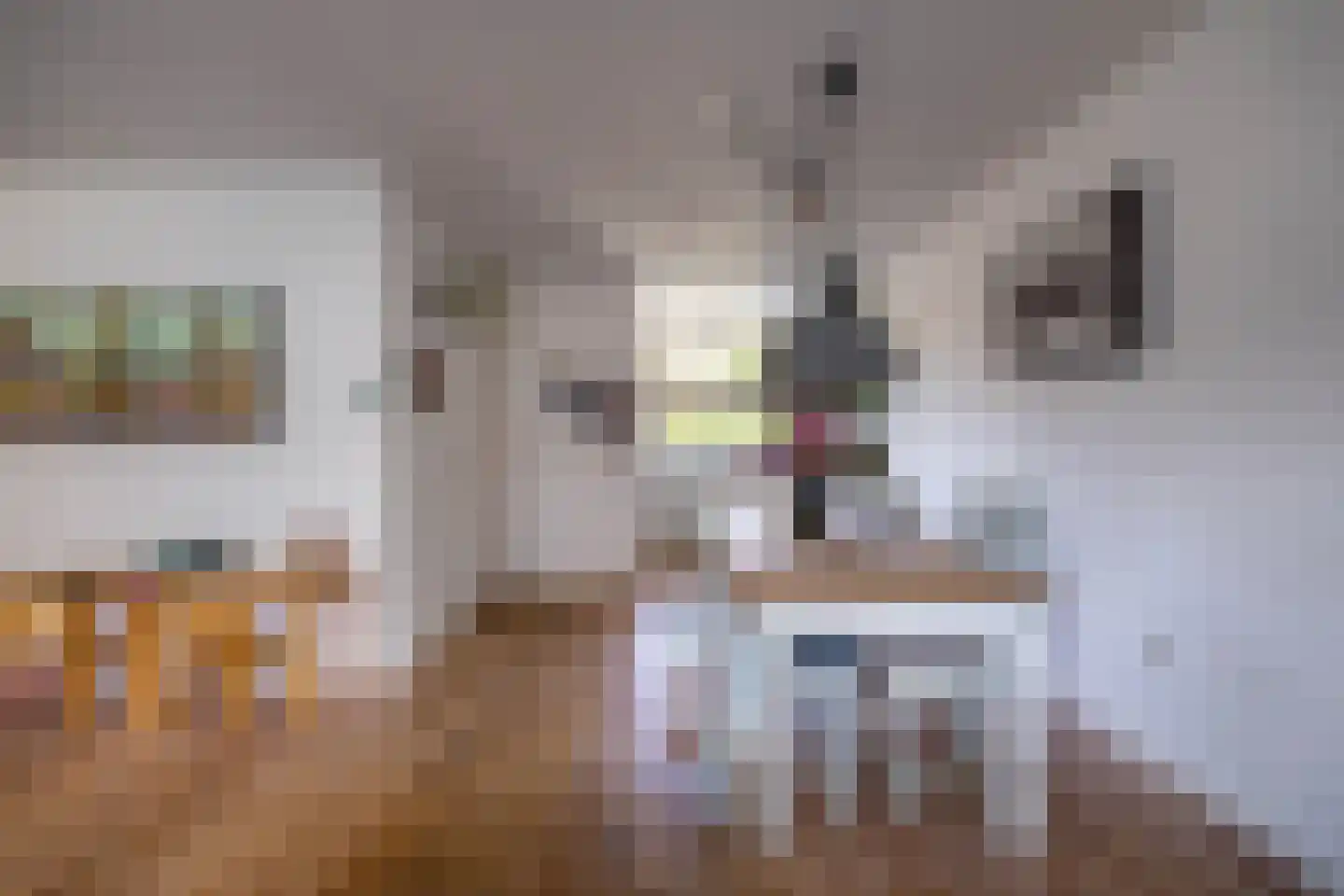 Van Deyssellaan 21 Groningen thumbnail 14