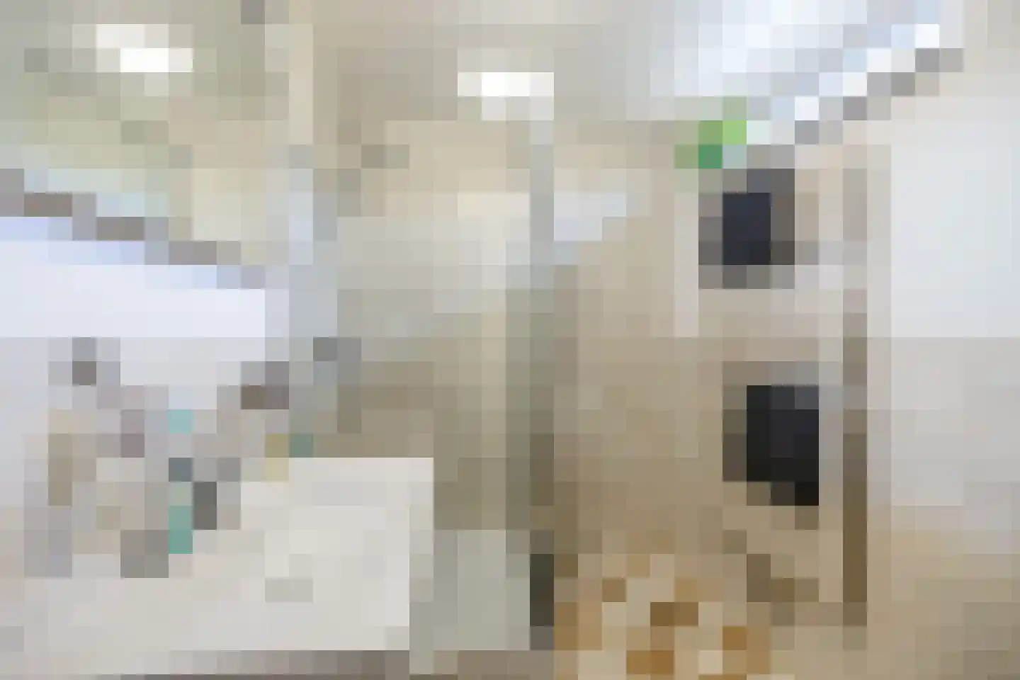 Van Deyssellaan 21 Groningen thumbnail 22