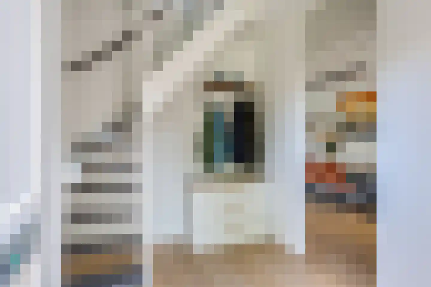 Van Deyssellaan 32 Groningen thumbnail 13