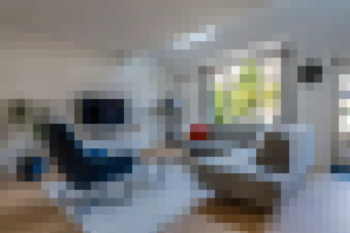 Van Deyssellaan 32 Groningen thumbnail 18