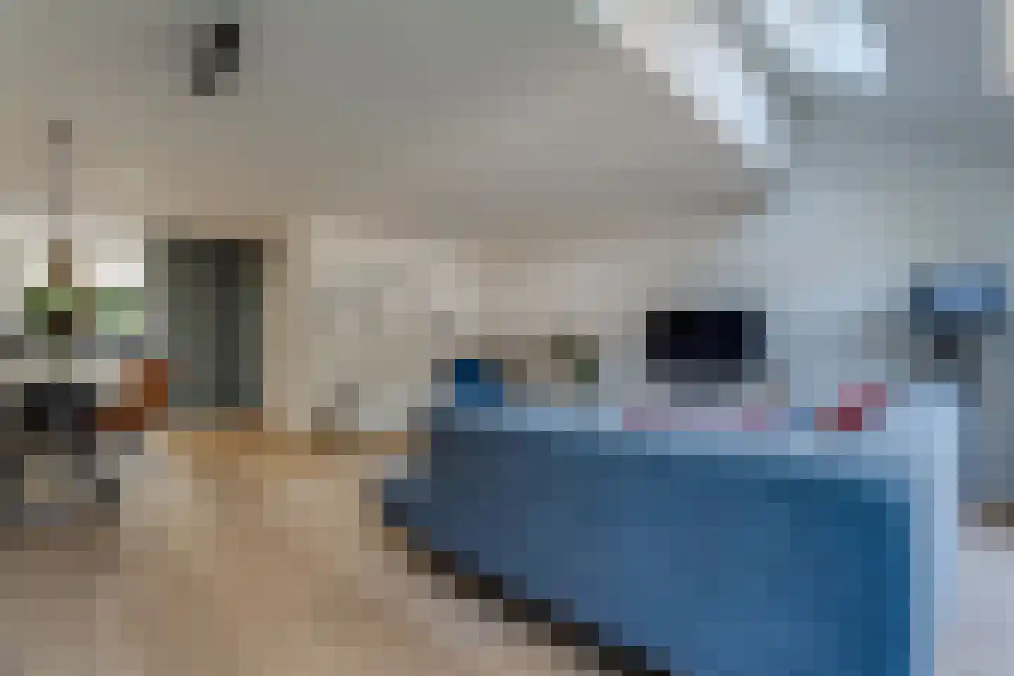 Van Deyssellaan 32 Groningen thumbnail 20