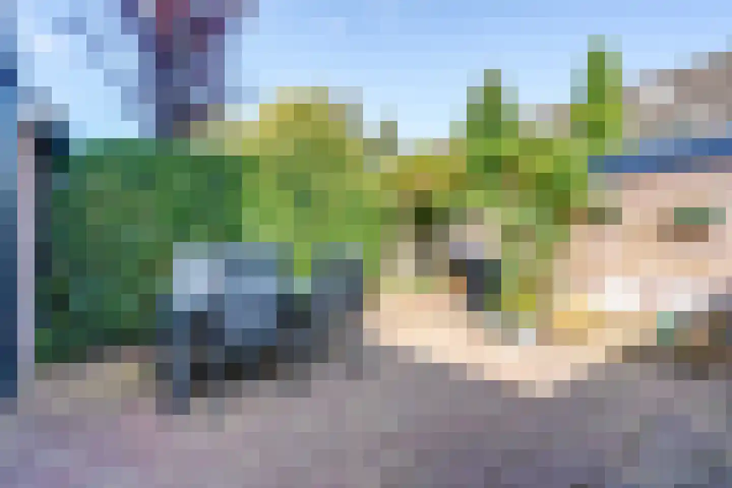 Van Deyssellaan 32 Groningen thumbnail 45