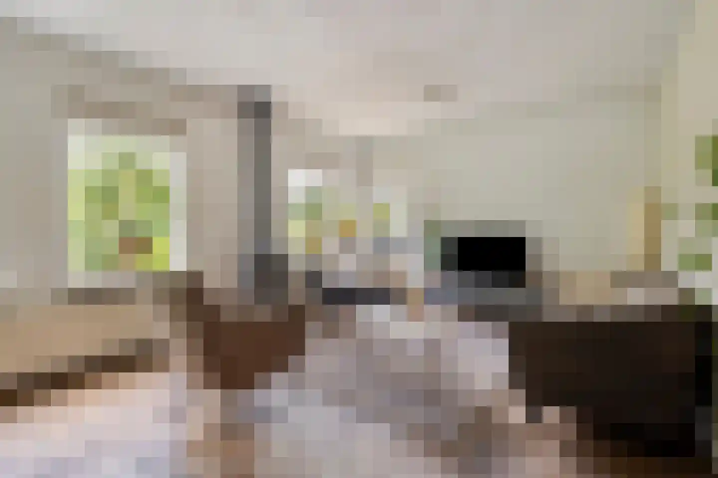 Van Deyssellaan 44 Groningen thumbnail 14