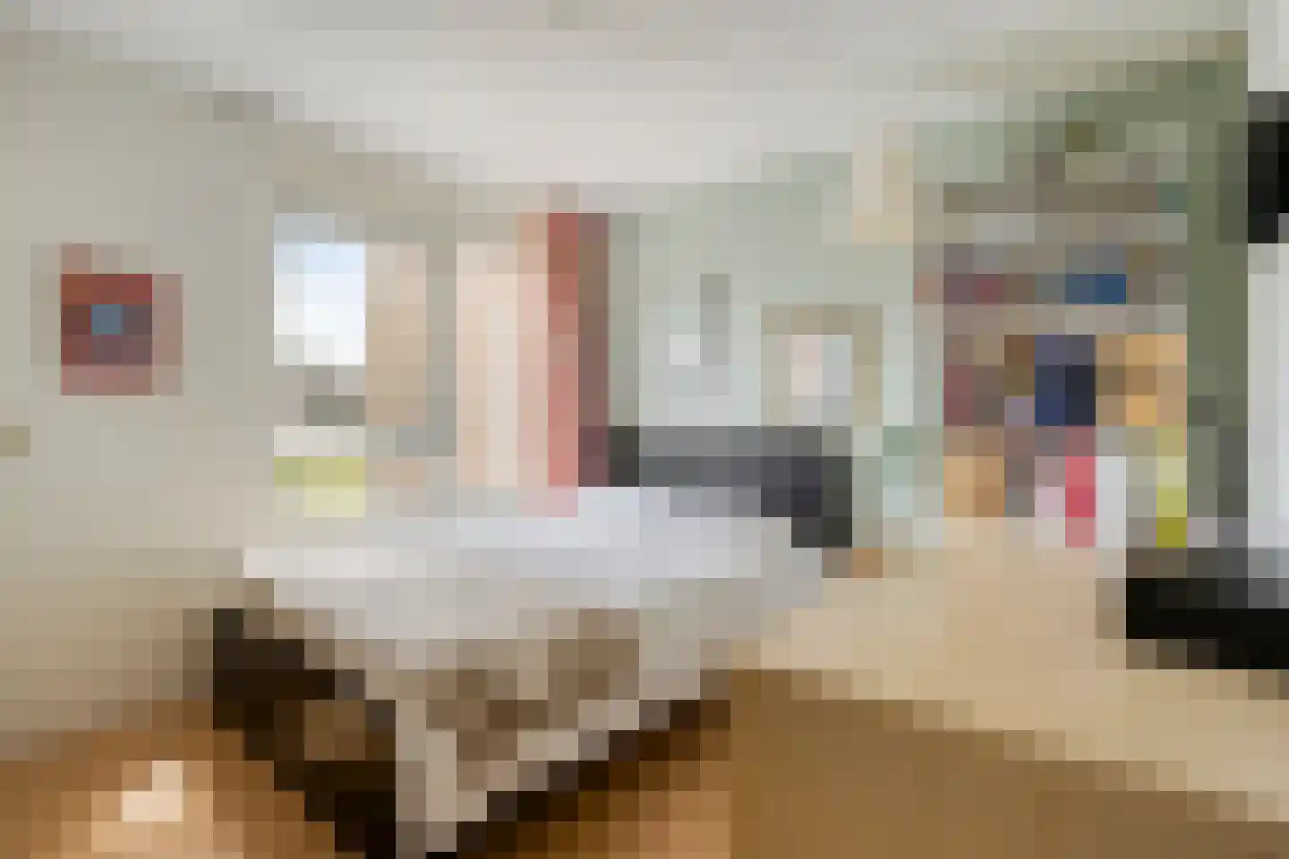 Van Deyssellaan 44 Groningen thumbnail 36