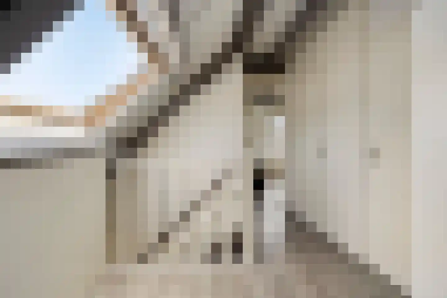 Van Deyssellaan 44 Groningen thumbnail 40