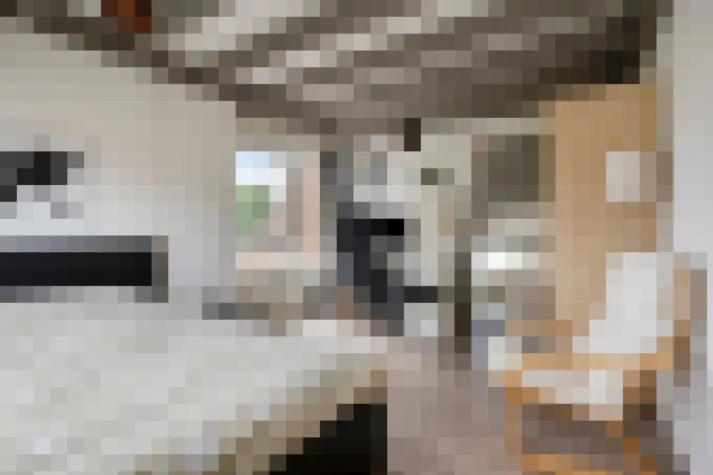Van Deyssellaan 44 Groningen thumbnail 42
