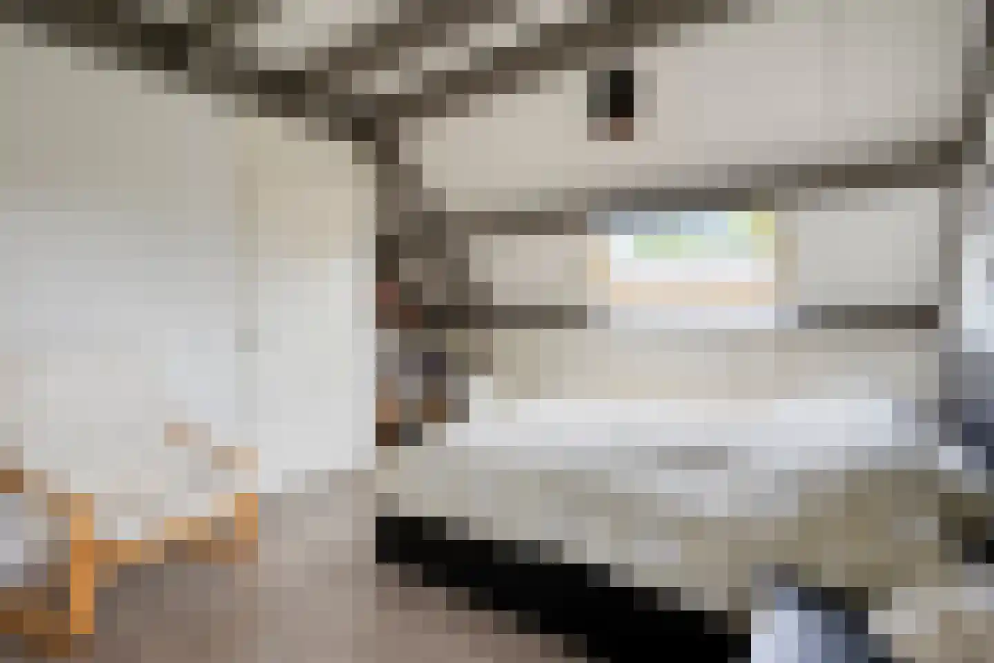 Van Deyssellaan 44 Groningen thumbnail 43