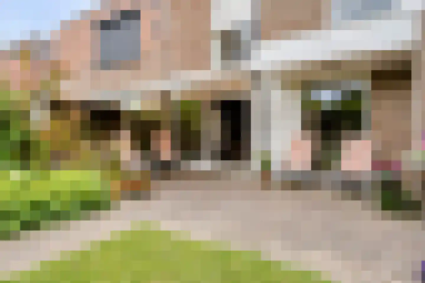 Van Deyssellaan 44 Groningen thumbnail 46