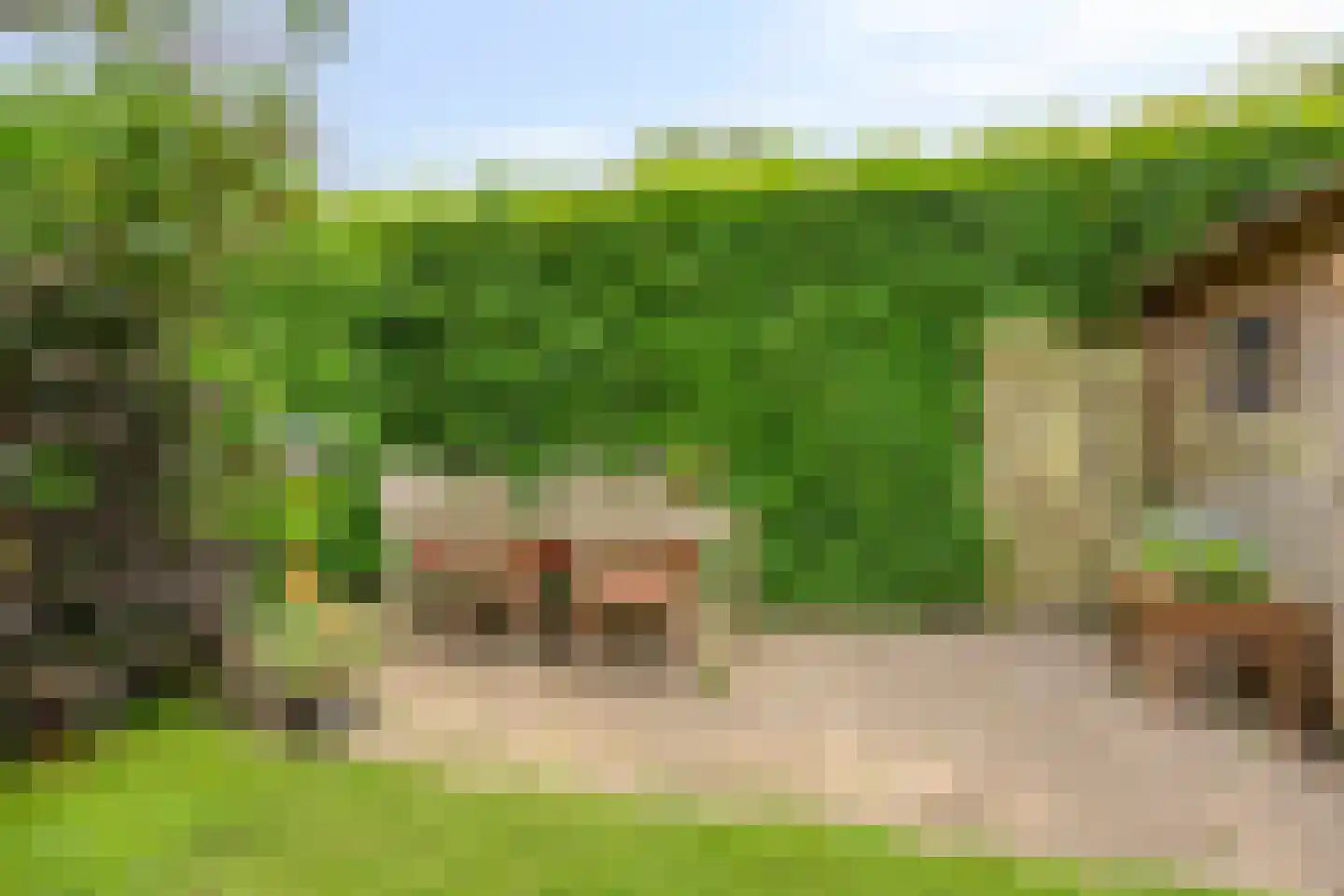 Van Deyssellaan 44 Groningen thumbnail 50