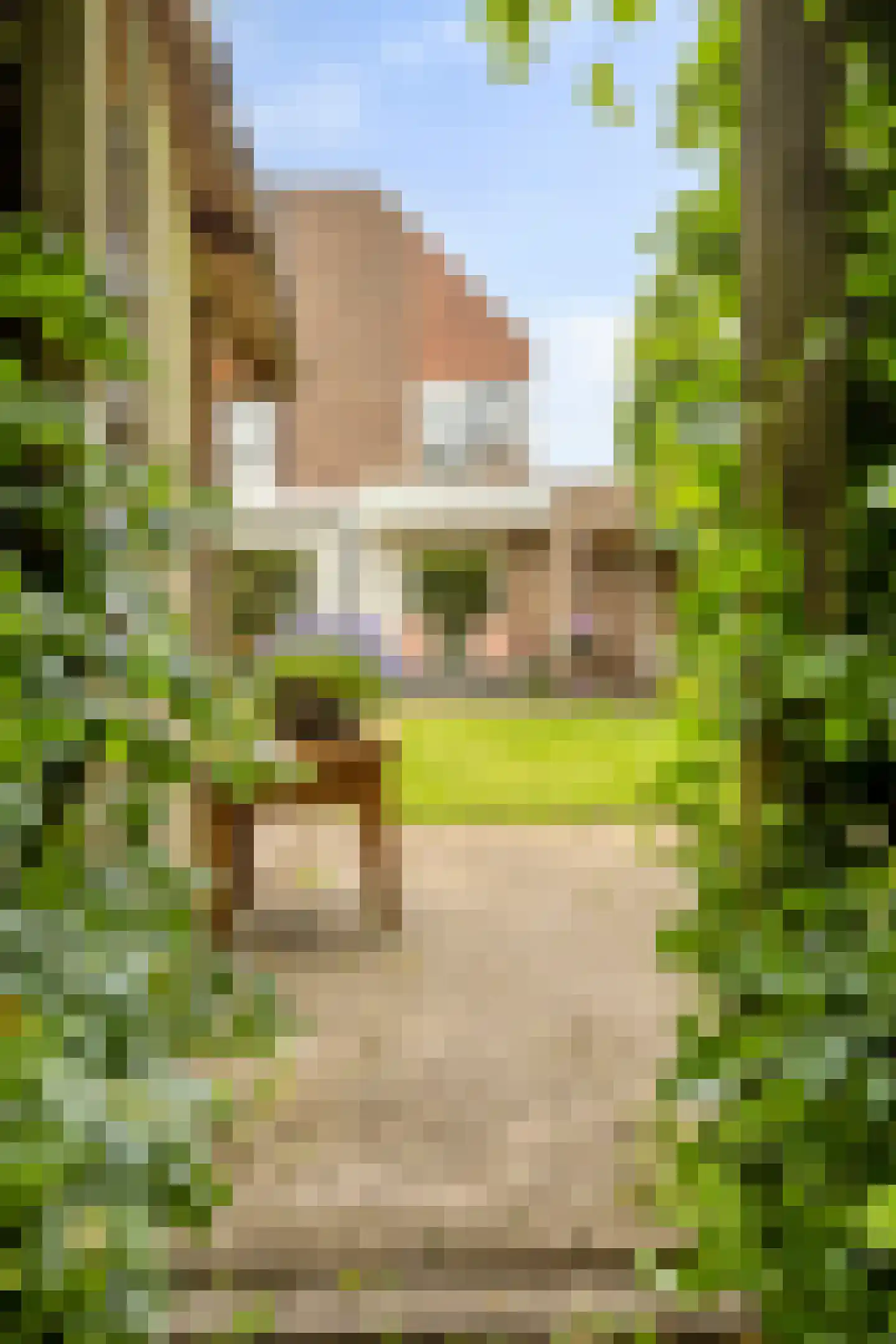 Van Deyssellaan 44 Groningen thumbnail 53