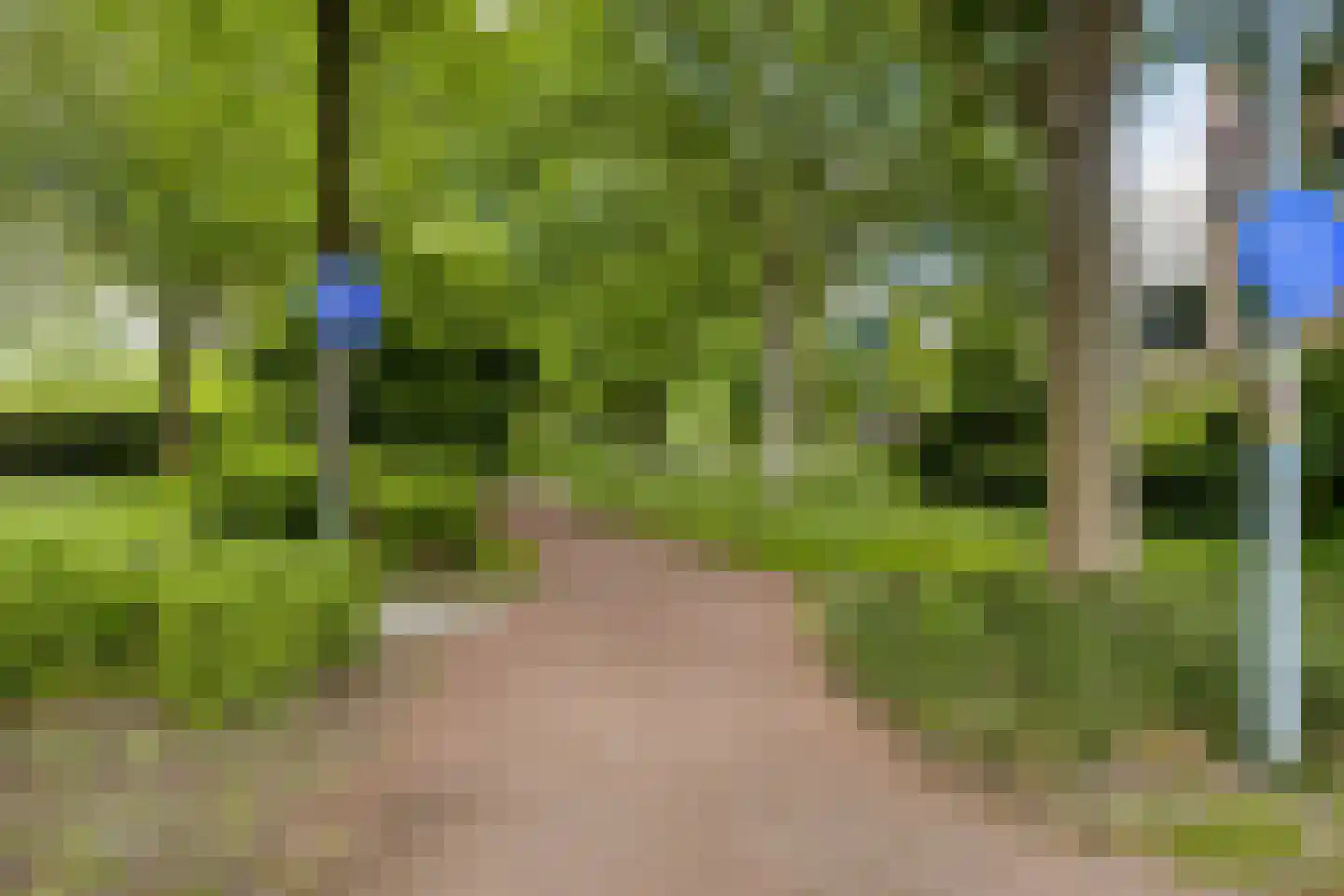 Van Deyssellaan 44 Groningen thumbnail 54