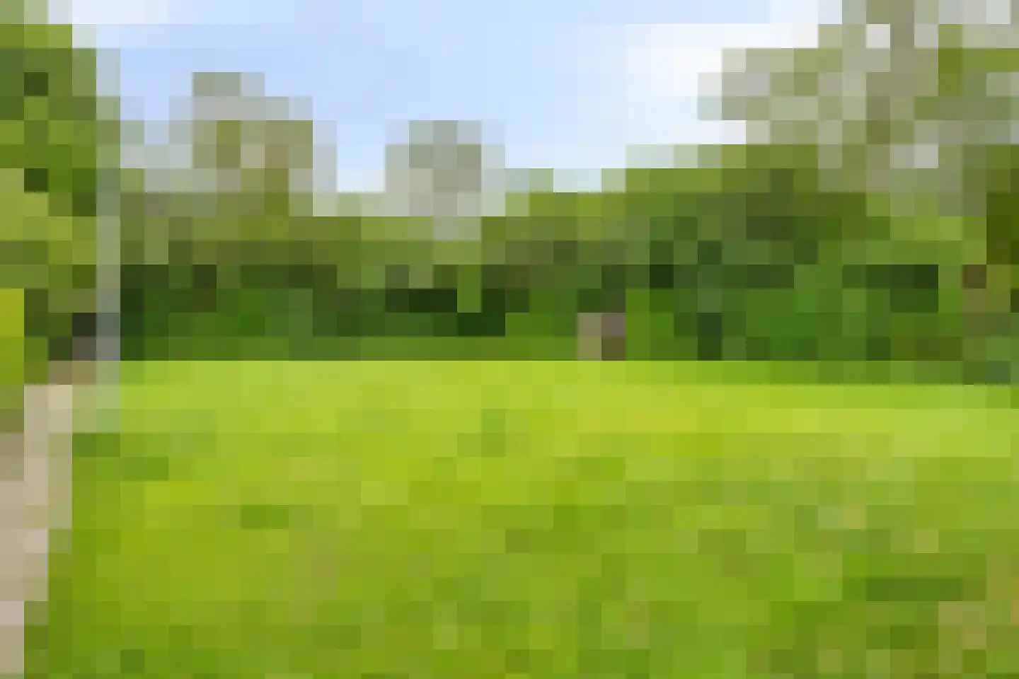 Van Deyssellaan 44 Groningen thumbnail 57
