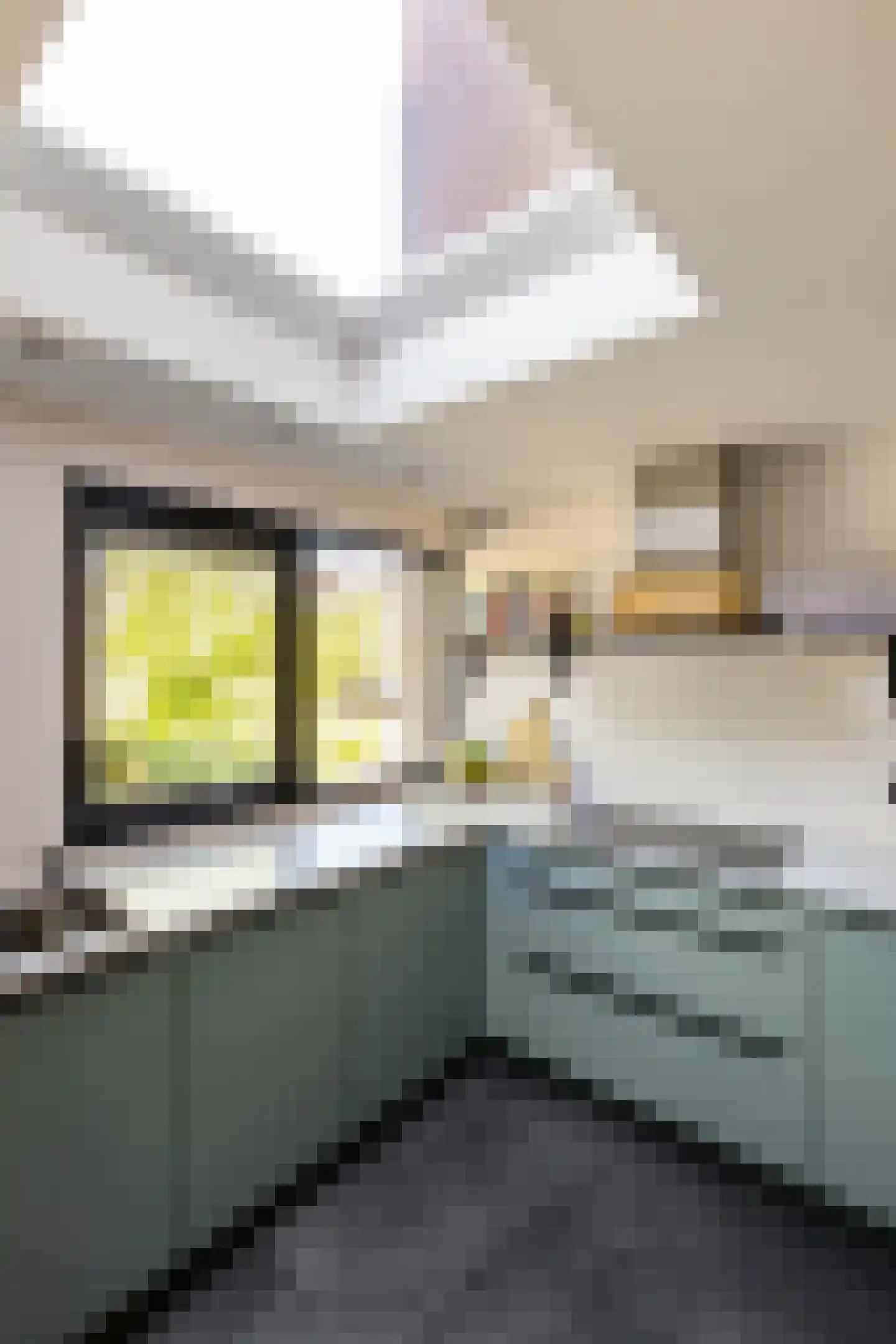 Van Deyssellaan 46 Groningen thumbnail 12
