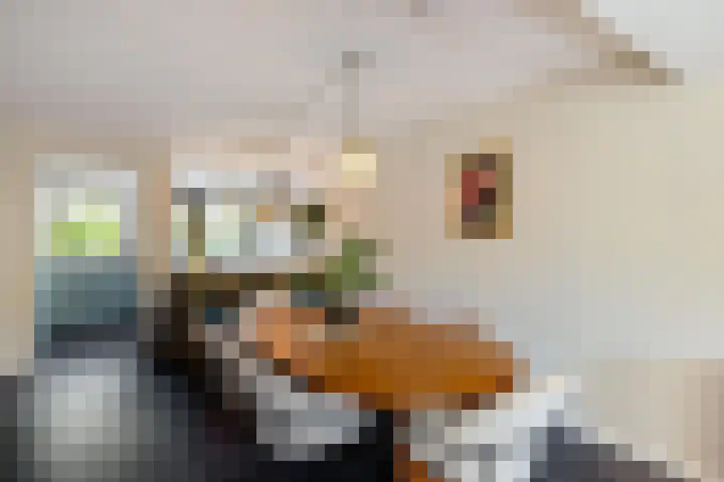Van Deyssellaan 46 Groningen thumbnail 21
