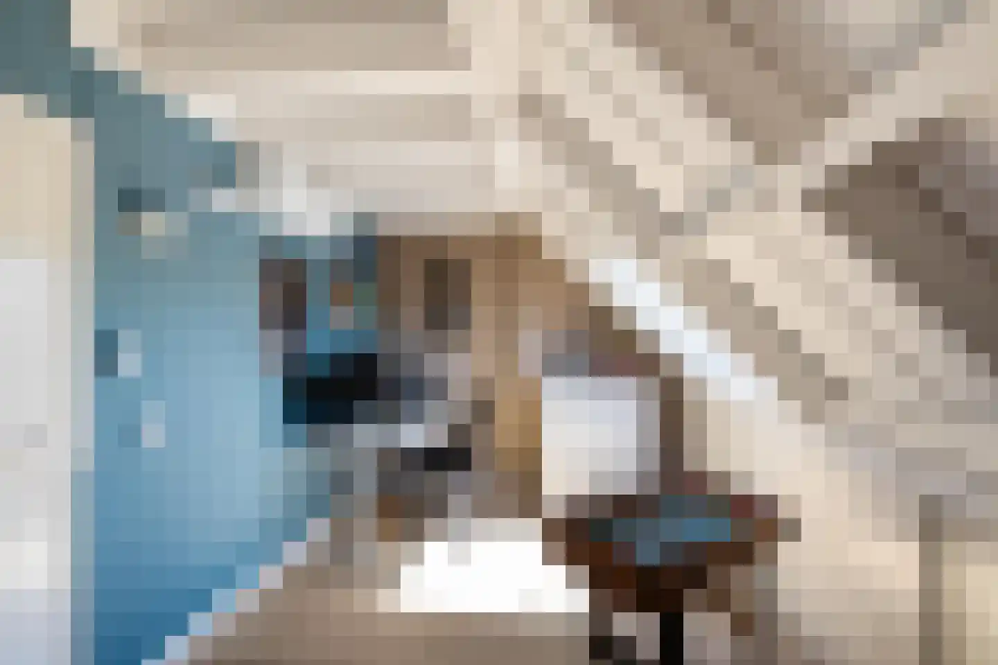 Van Deyssellaan 46 Groningen thumbnail 39