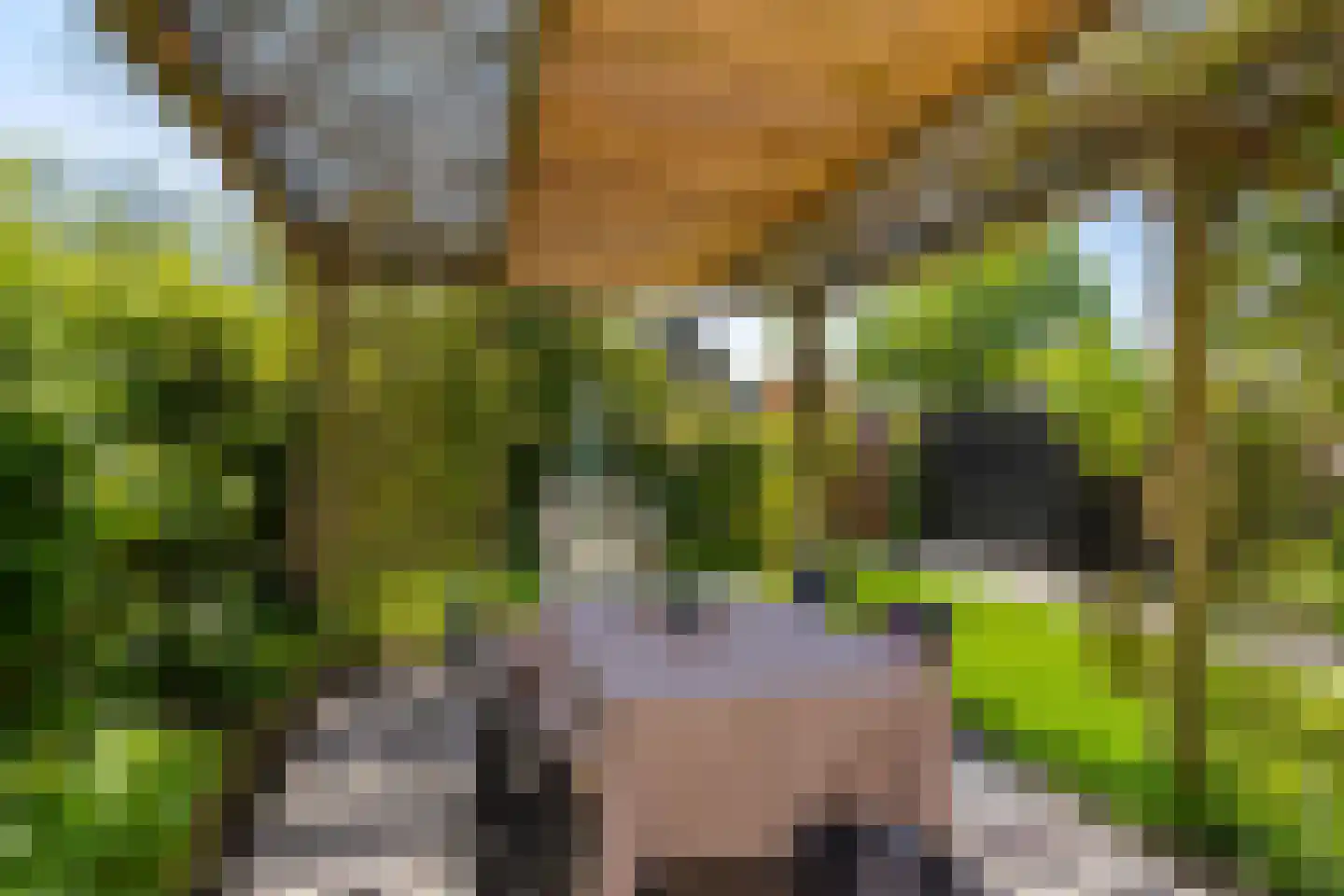 Van Deyssellaan 46 Groningen thumbnail 48