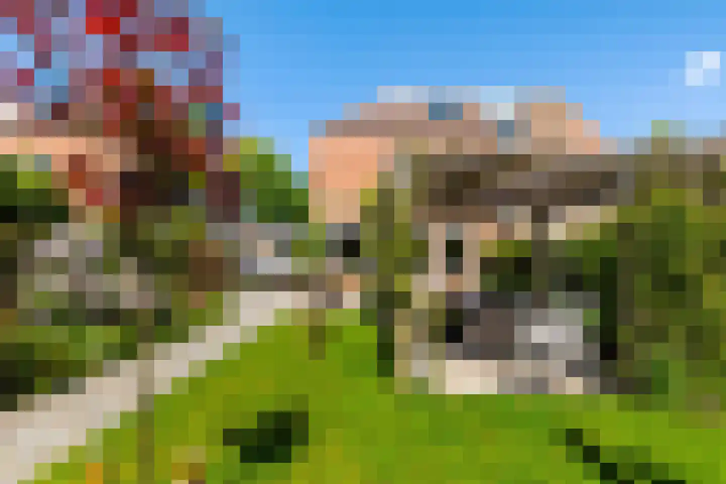 Van Deyssellaan 46 Groningen thumbnail 50