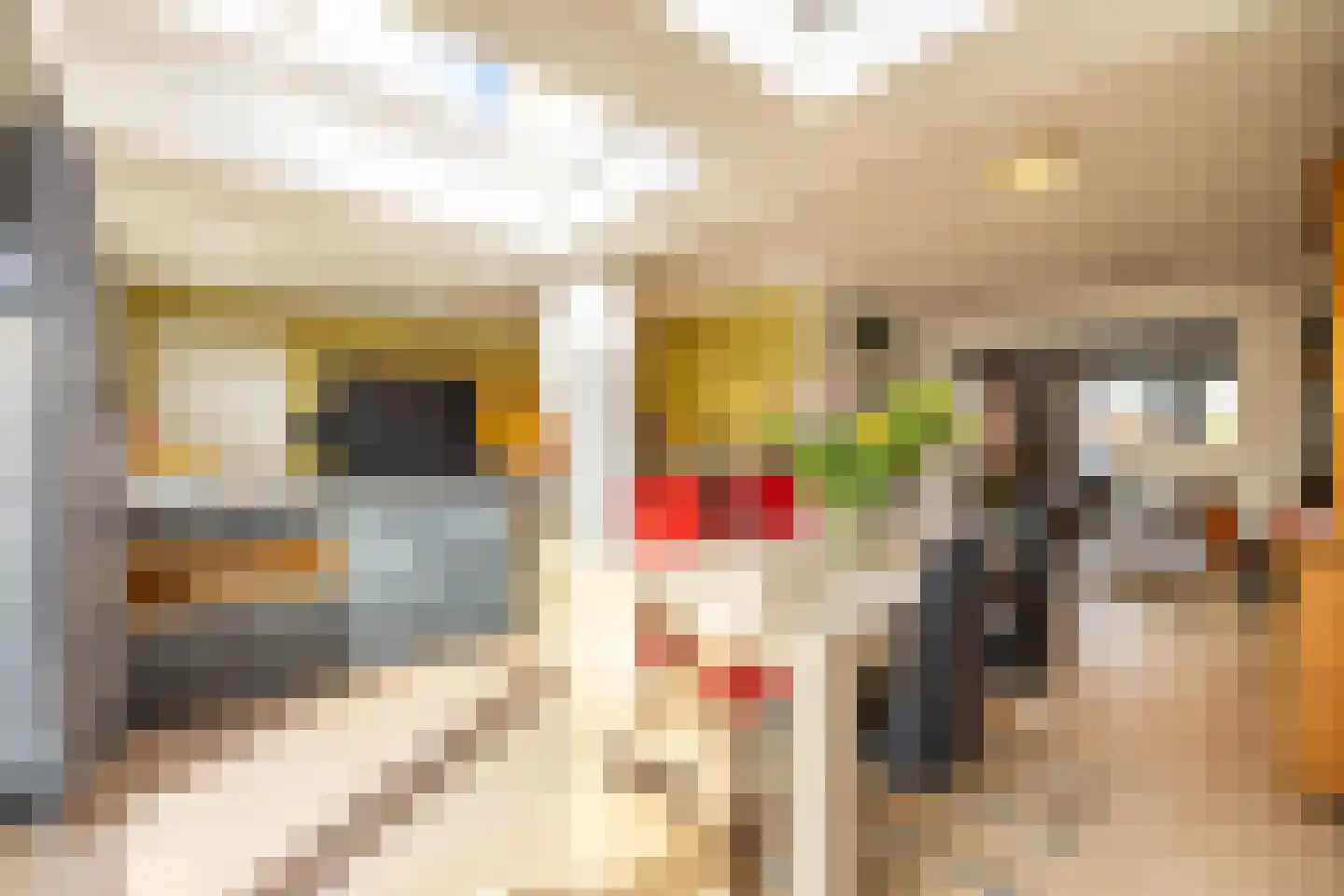 Van Deyssellaan 50 Groningen thumbnail 20