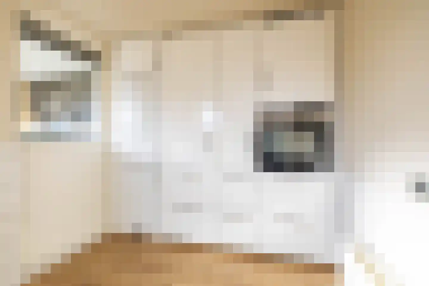 Van Deyssellaan 50 Groningen thumbnail 32