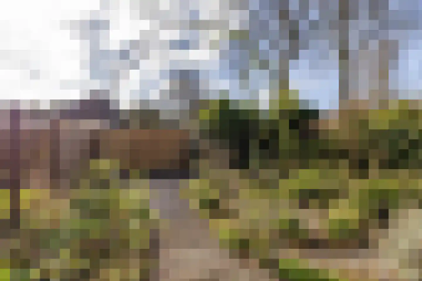 Van Deyssellaan 50 Groningen thumbnail 33