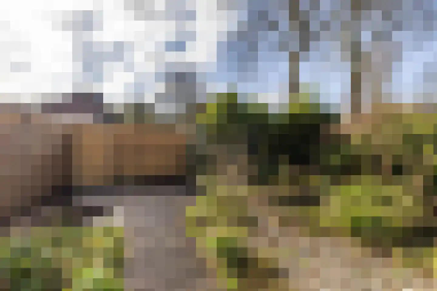 Van Deyssellaan 50 Groningen thumbnail 35