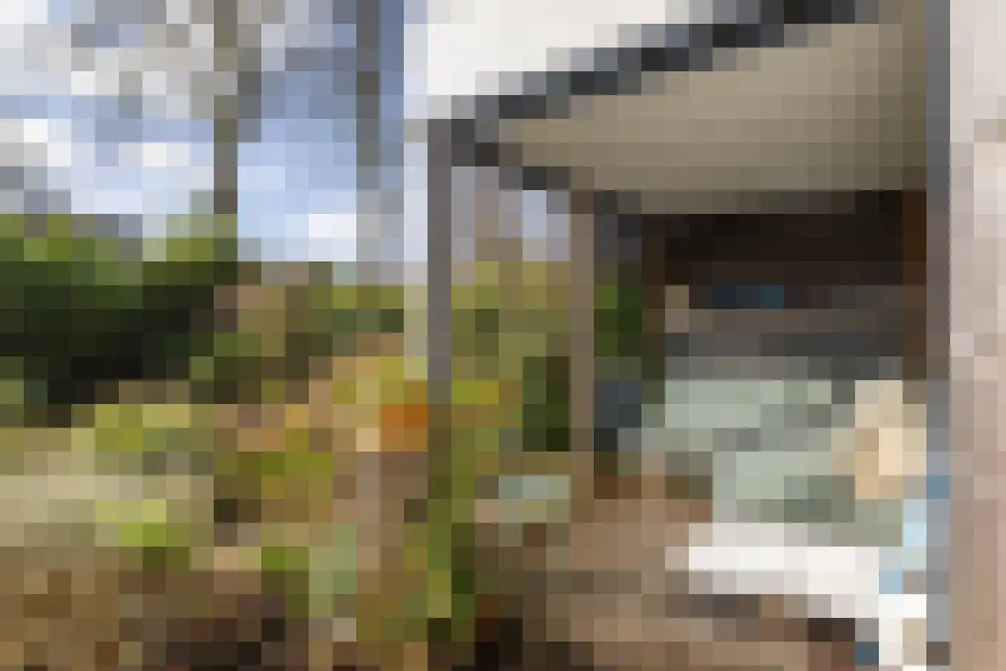 Van Deyssellaan 50 Groningen thumbnail 40