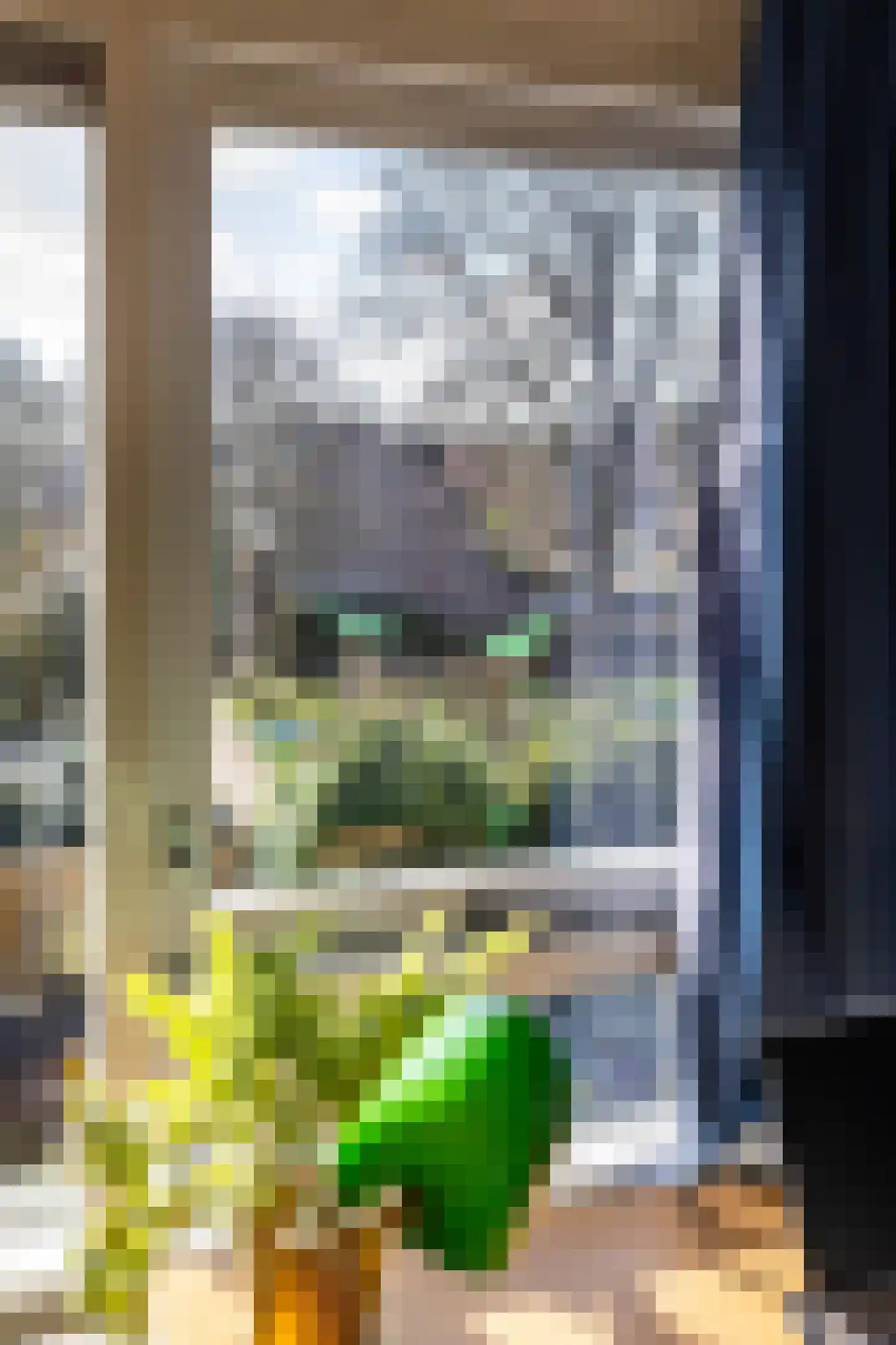 Van Deyssellaan 50 Groningen thumbnail 63
