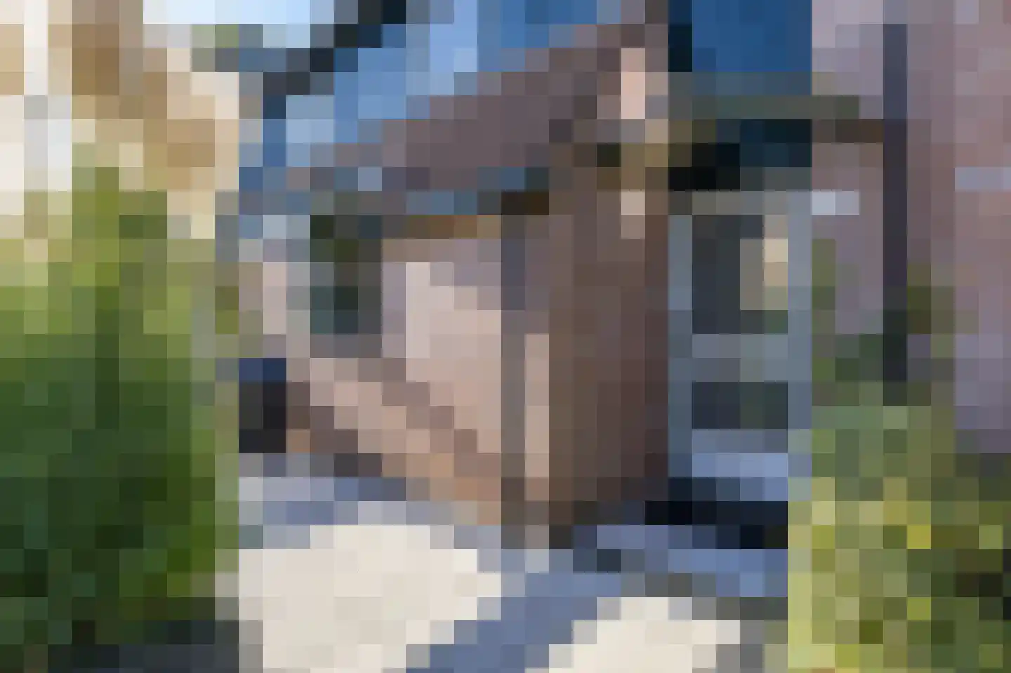 Van Deyssellaan 53 Groningen thumbnail 11