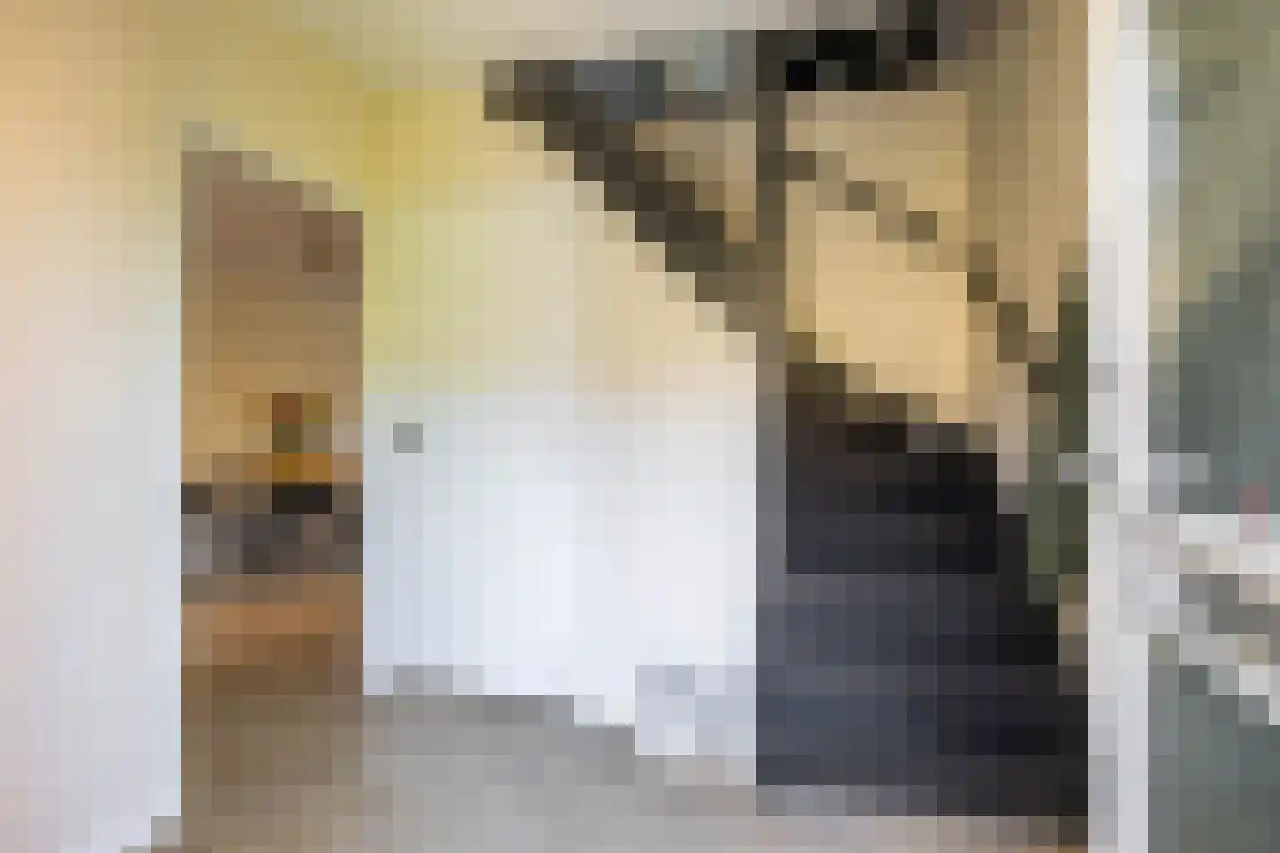 Van Deyssellaan 53 Groningen thumbnail 16