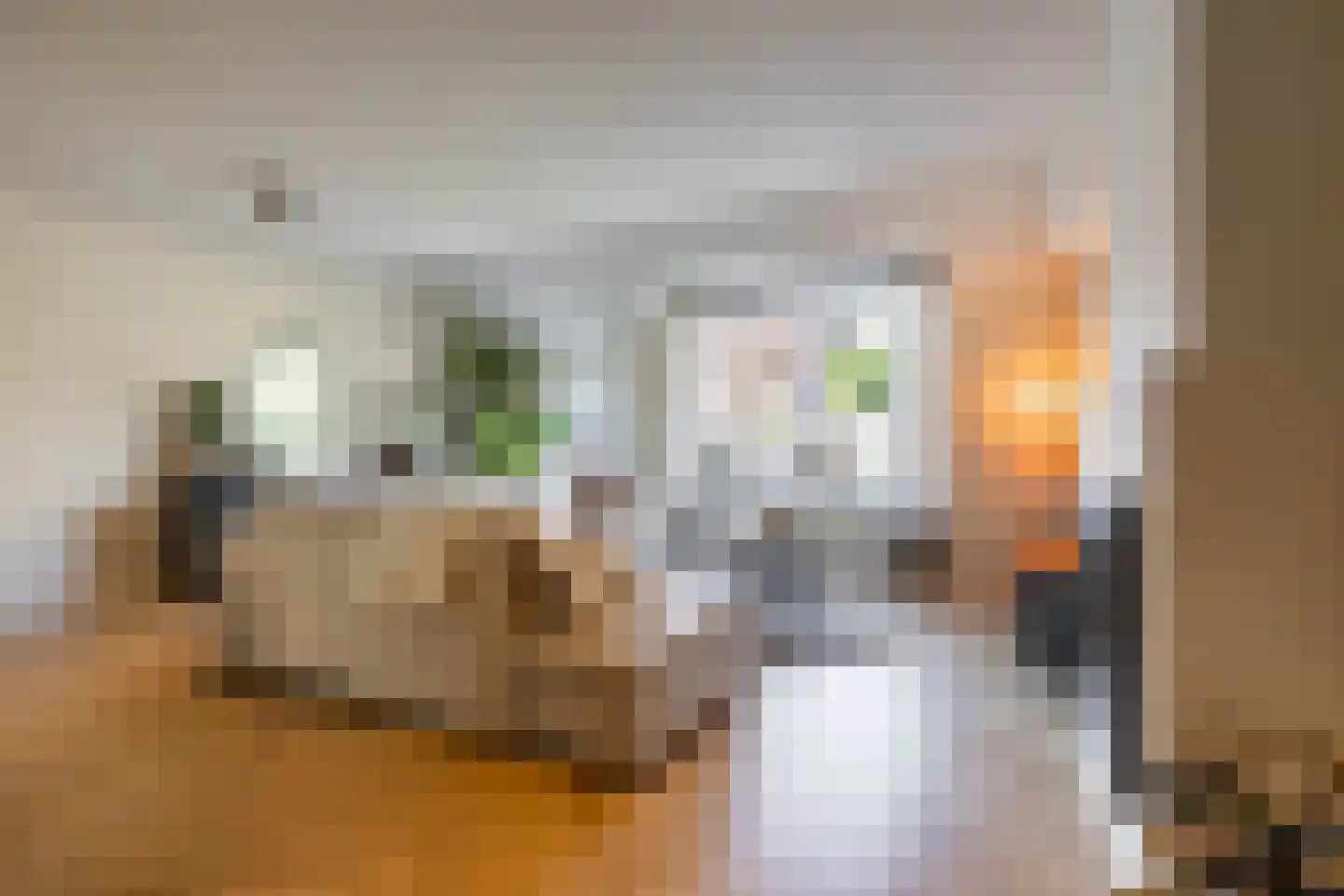 Van Deyssellaan 53 Groningen thumbnail 18