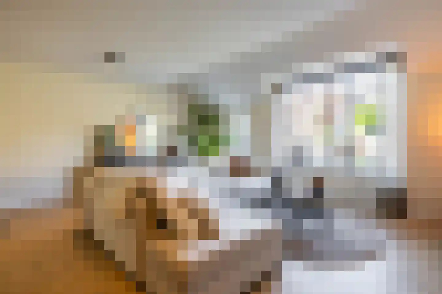 Van Deyssellaan 53 Groningen thumbnail 19