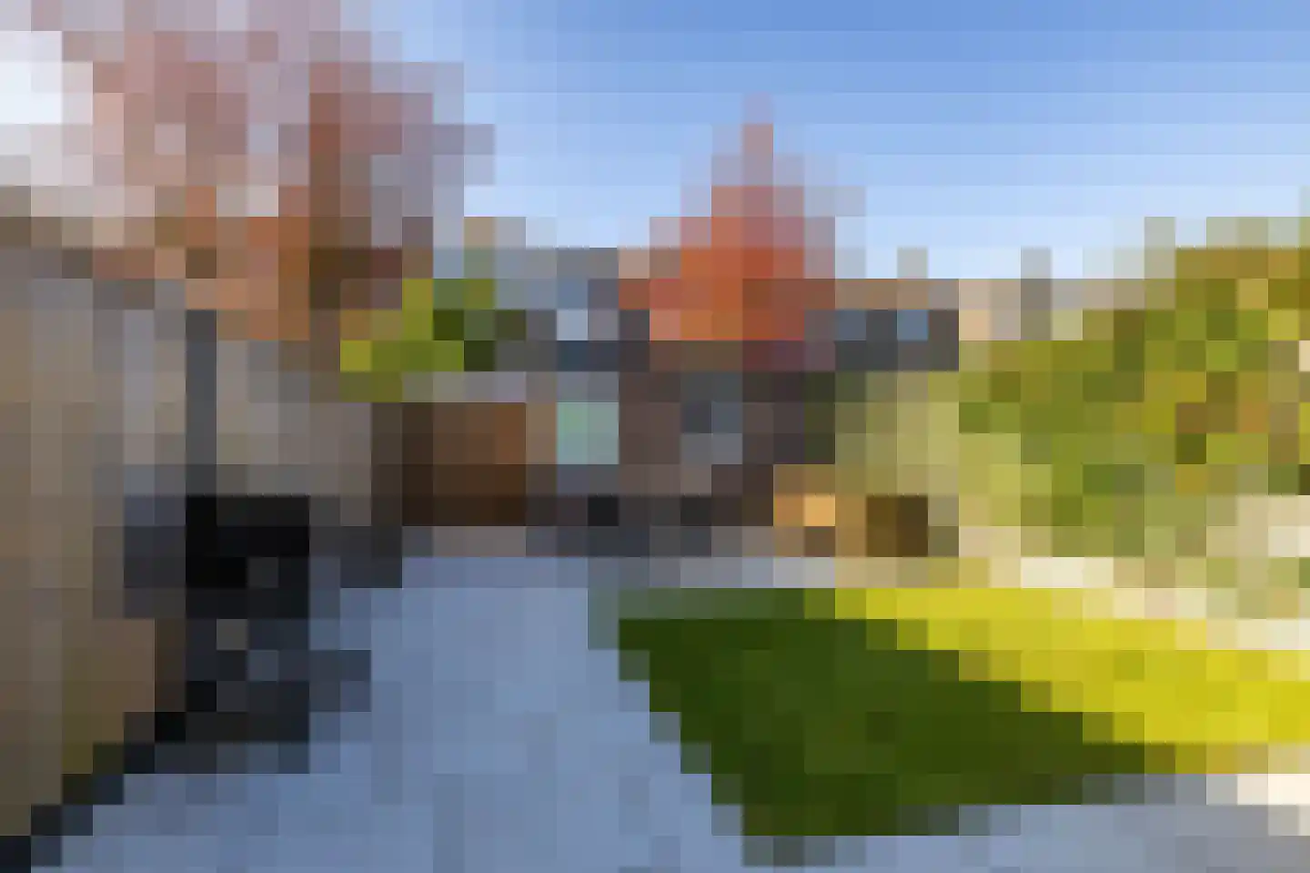 Van Deyssellaan 53 Groningen thumbnail 36