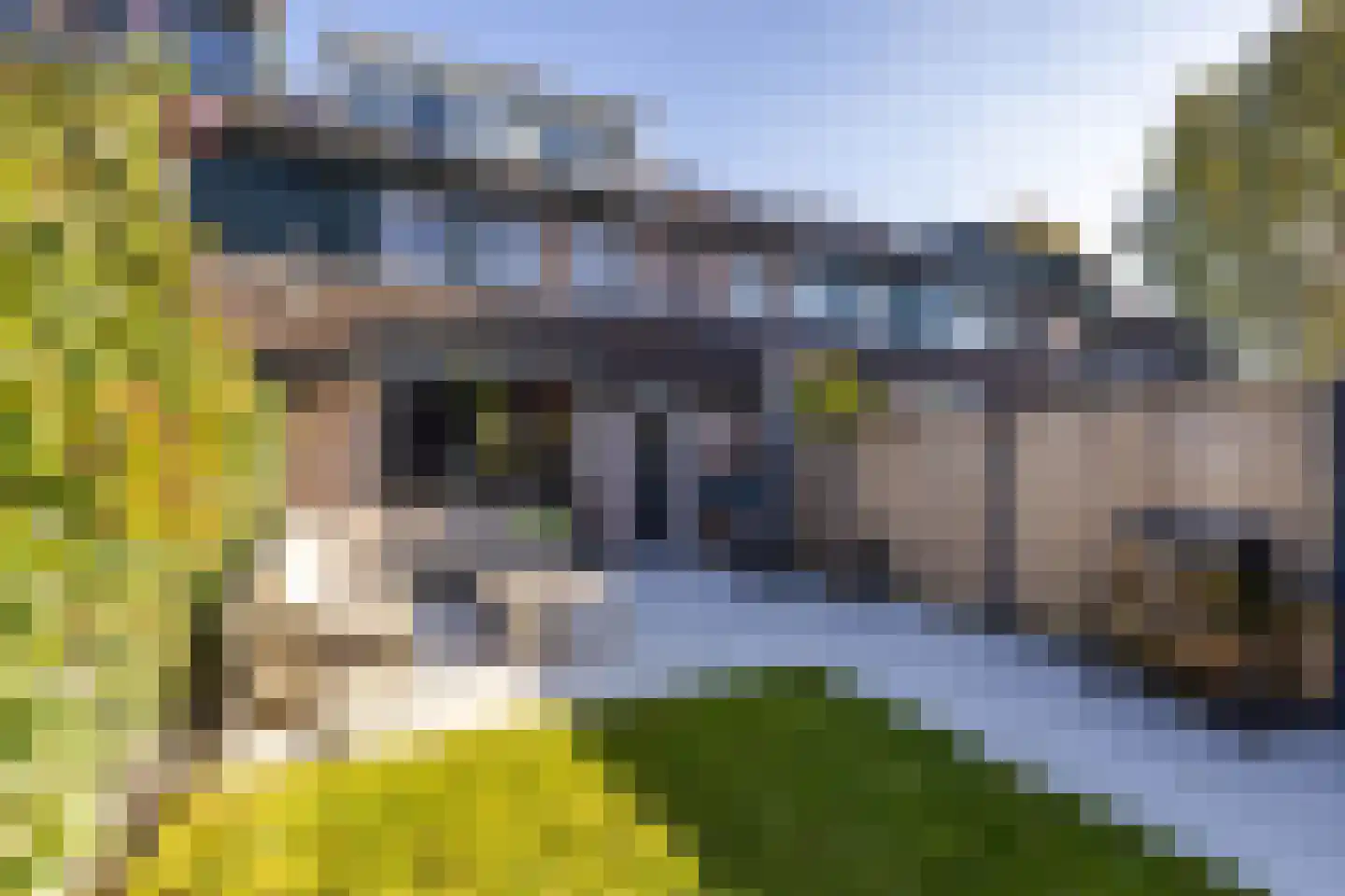 Van Deyssellaan 53 Groningen thumbnail 39