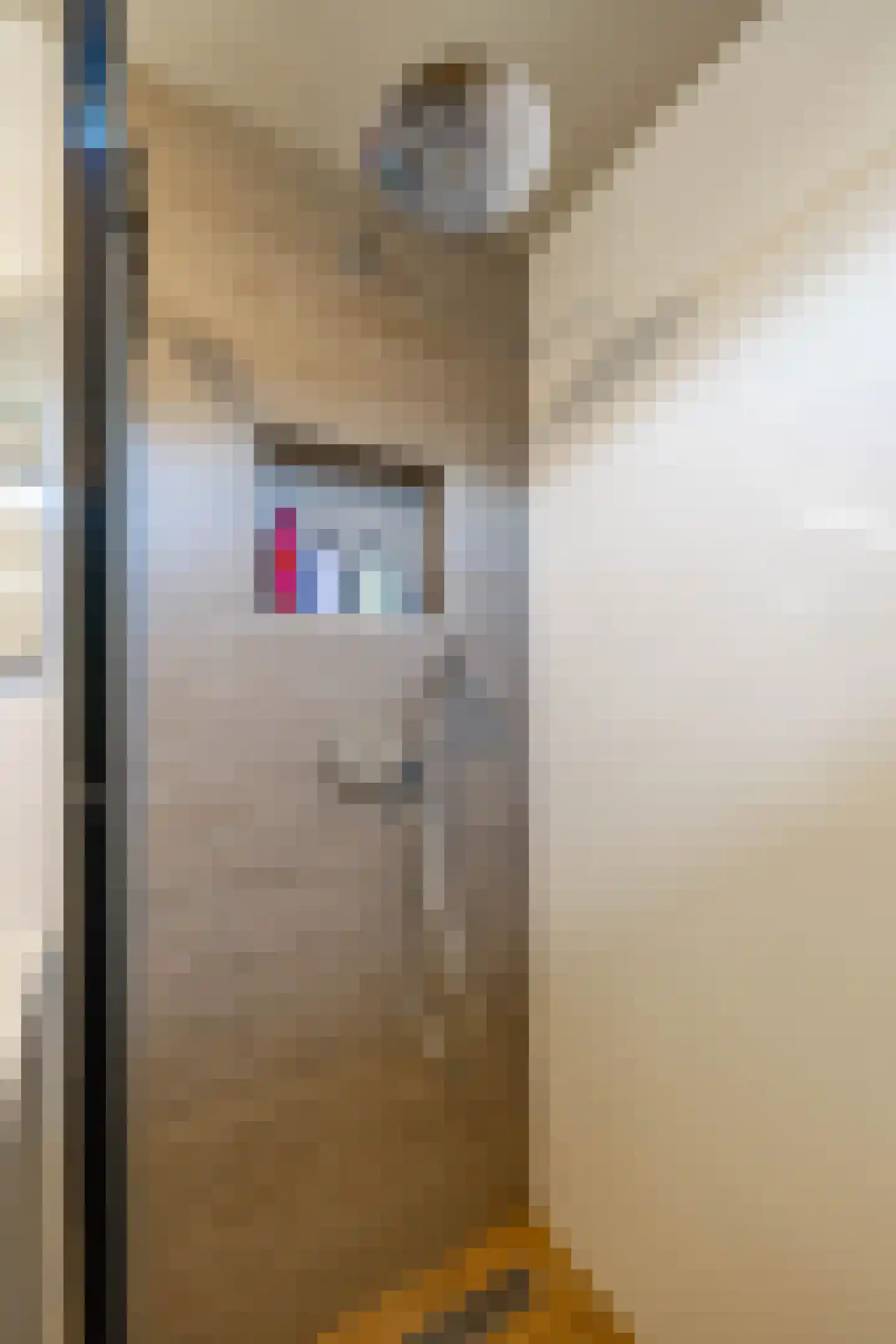 Van Deyssellaan 53 Groningen thumbnail 48
