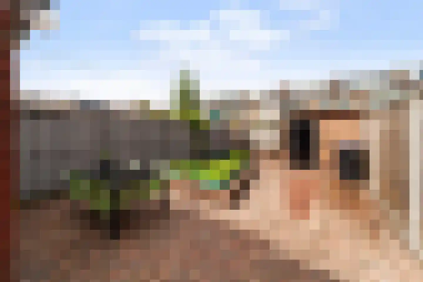 van Deysselstraat 4 Zwijndrecht thumbnail 26