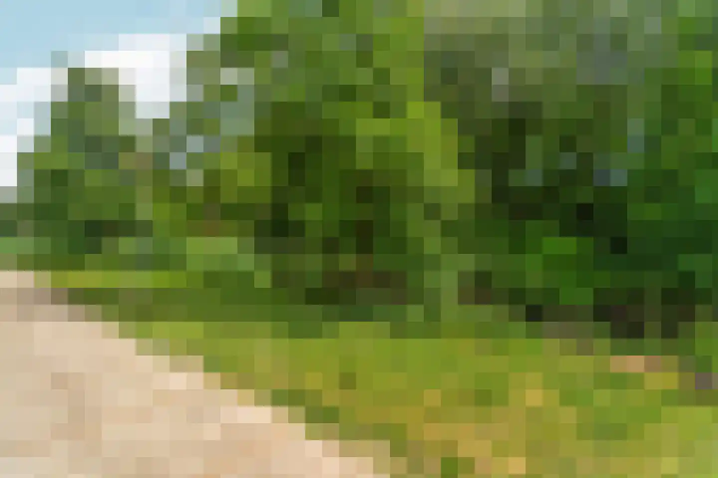 Van Diemenhof 33 Arnhem thumbnail 29