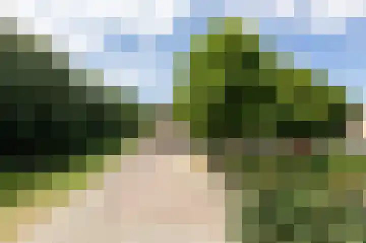Van Diemenhof 39 Arnhem thumbnail 45