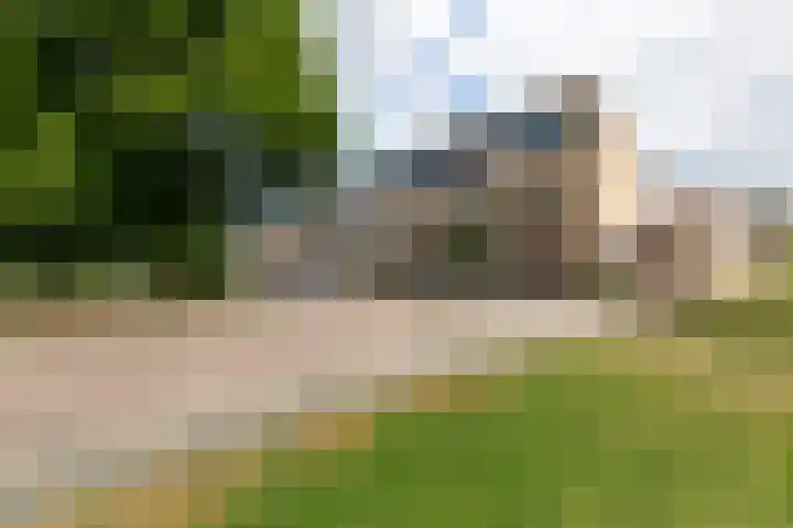 Van Diemenhof 39 Arnhem thumbnail 7