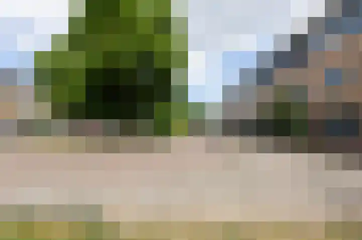Van Diemenhof 39 Arnhem thumbnail 8