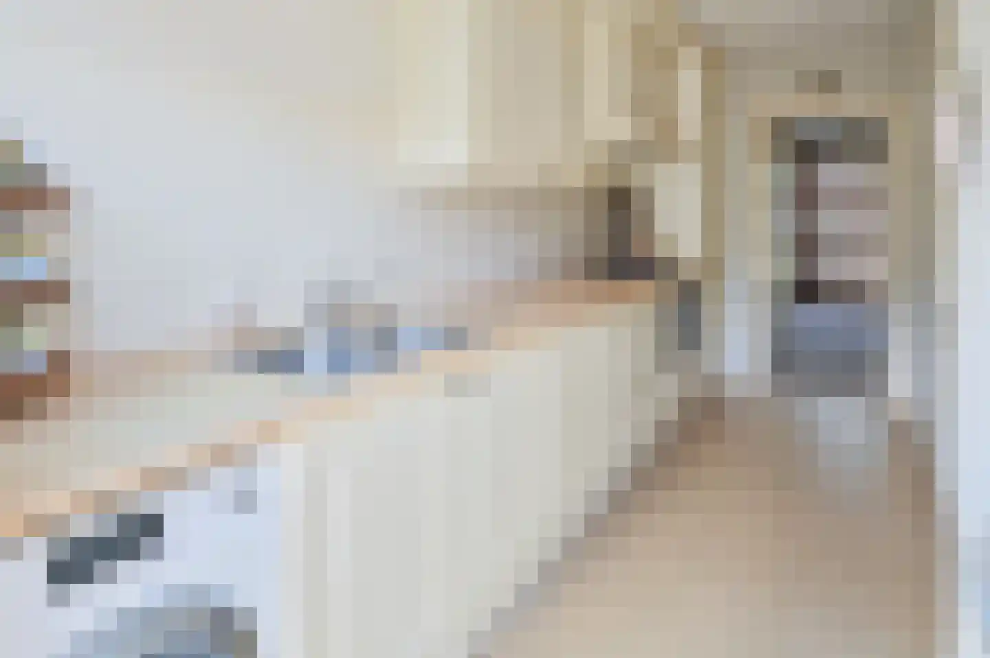 Van Diemenlaan 17 Haarlem thumbnail 8