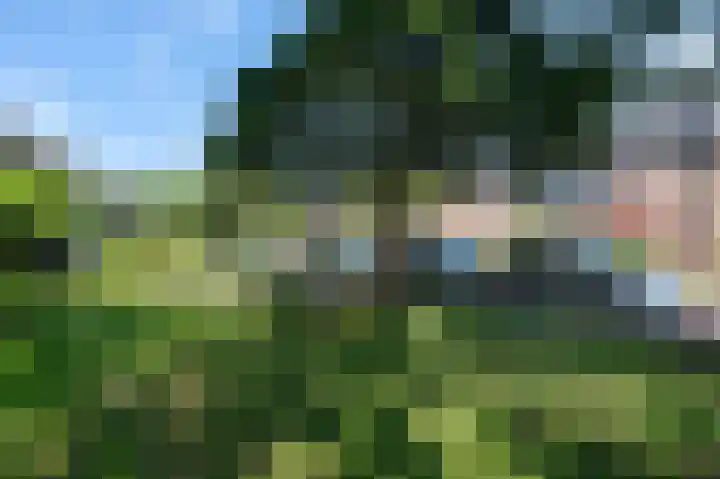 Van Diemenlaan 23 Haarlem thumbnail 27