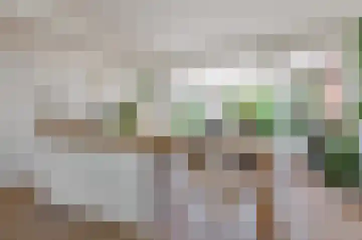 Van Diemenlaan 23 Haarlem thumbnail 7