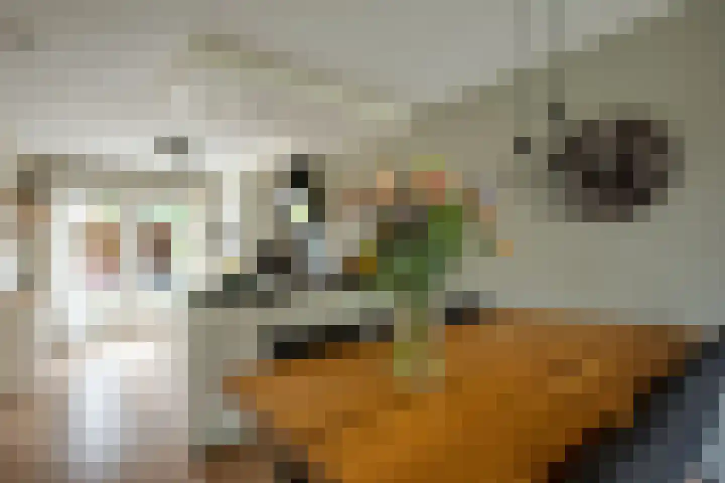Van Diemenstraat 1 Lutjegast thumbnail 13