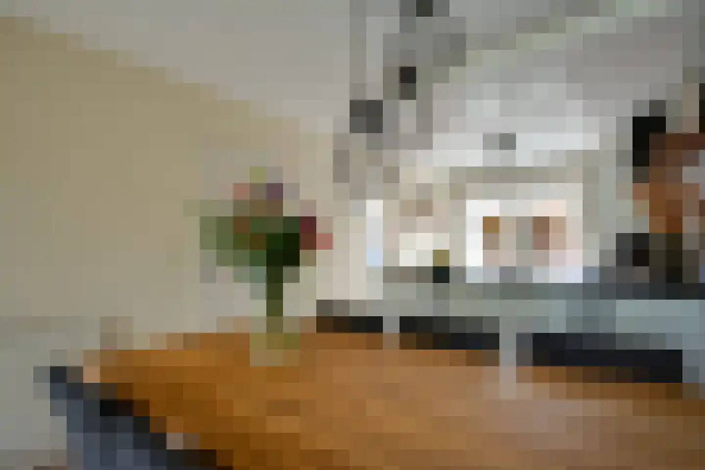 Van Diemenstraat 1 Lutjegast thumbnail 14
